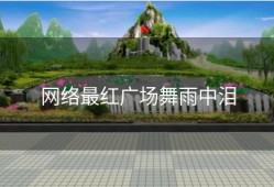 网络最红广场舞雨中泪