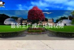 最新王广成广场舞视频