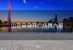 山花朵朵开广场舞六哥