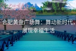 合肥黄金广场舞：舞动新时代，展现幸福生活