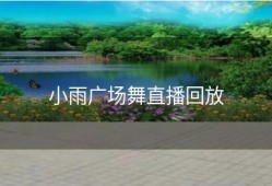 小雨广场舞直播回放