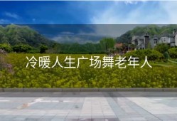 冷暖人生广场舞老年人