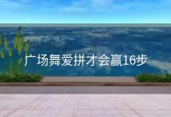 广场舞爱拼才会赢16步