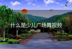 什么是少儿广场舞视频