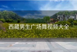 西藏男生广场舞视频大全