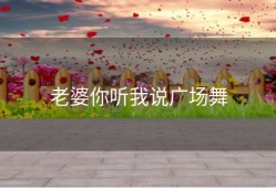 老婆你听我说广场舞