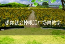 想你就会掉眼泪广场舞教学