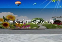 三大纪律广场舞双人舞