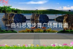 一曲相思鬼步舞广场舞背面