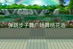 弹跳步子舞广场舞桃花运