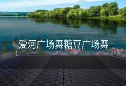 爱河广场舞糖豆广场舞