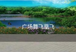 广场舞飞凰飞