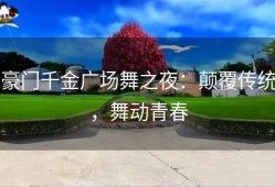 豪门千金广场舞之夜：颠覆传统，舞动青春
