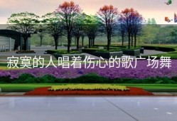 寂寞的人唱着伤心的歌广场舞