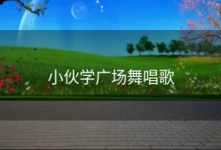 小伙学广场舞唱歌