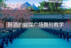 醉酒的蝴蝶广场舞附教学