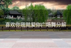 喜欢你我就爱你广场舞分解