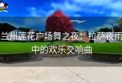 兰州莲花广场舞之夜：拉萨夜雨中的欢乐交响曲