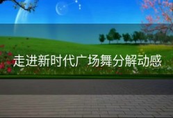 走进新时代广场舞分解动感