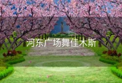 河东广场舞佳木斯