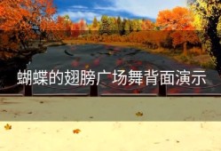 蝴蝶的翅膀广场舞背面演示