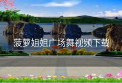 菠萝姐姐广场舞视频下载