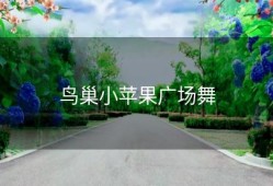 鸟巢小苹果广场舞