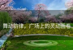 舞动韵律，广场上的灵动画卷