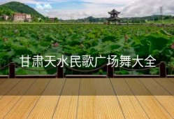 甘肃天水民歌广场舞大全