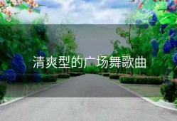清爽型的广场舞歌曲
