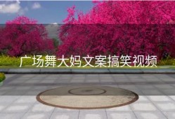 广场舞大妈文案搞笑视频