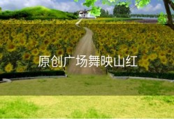 原创广场舞映山红