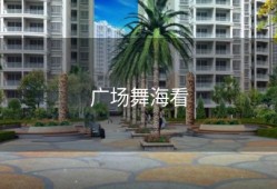 广场舞海看