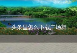 头条里怎么下载广场舞