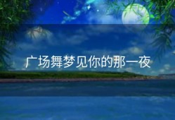 广场舞梦见你的那一夜