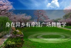 身在异乡有牵挂广场舞教学