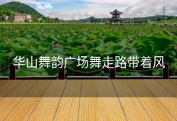 华山舞韵广场舞走路带着风
