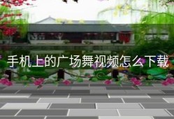 手机上的广场舞视频怎么下载