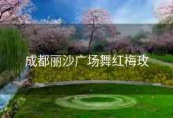 成都丽沙广场舞红梅玫