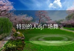 特别的人dj广场舞