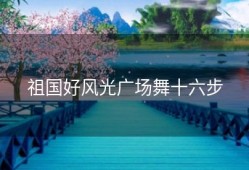 祖国好风光广场舞十六步