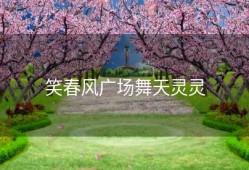 笑春风广场舞天灵灵