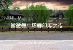 微微舞广场舞印度之夜