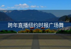 跨年直播纽约时报广场舞