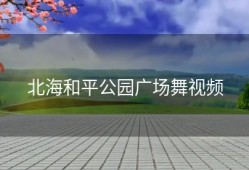 北海和平公园广场舞视频