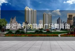 最近流行的简单广场舞背面