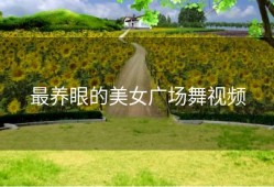 最养眼的美女广场舞视频