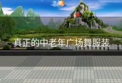 真正的中老年广场舞服装