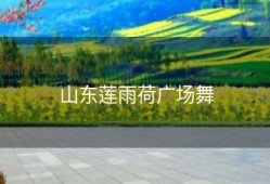 山东莲雨荷广场舞