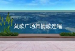 藏歌广场舞情歌连唱